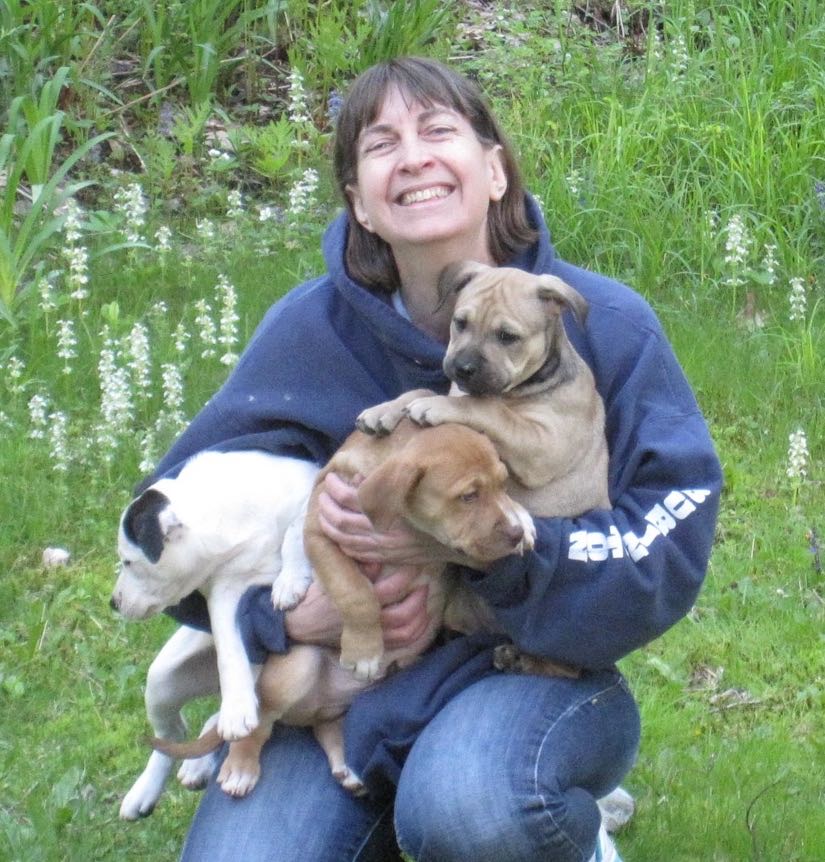 Bio photo of Jenn Strickler smiling as she holds three dogs in a woodsy setting